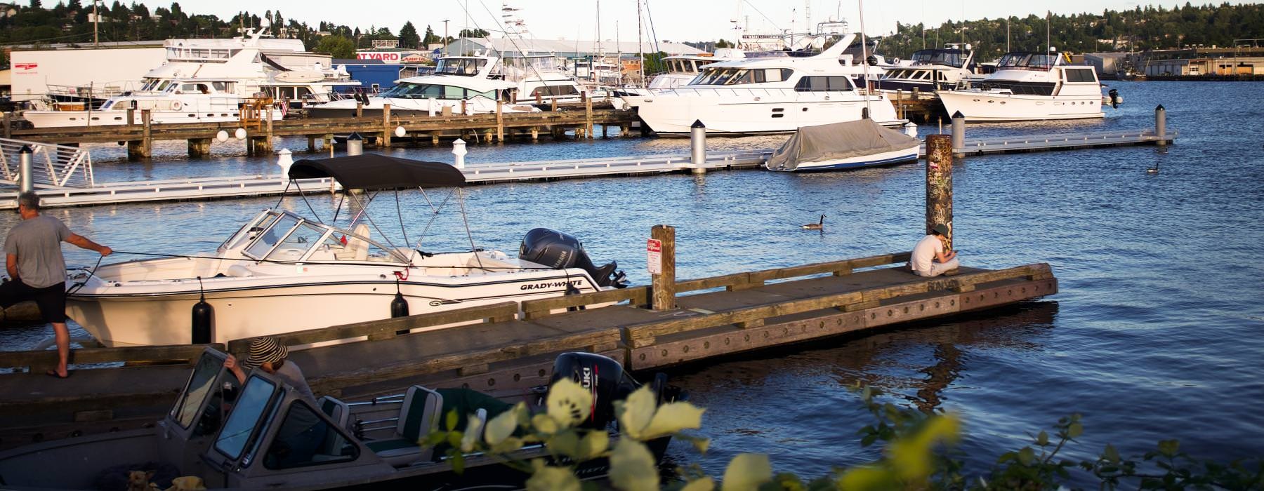 boats docked at a pier