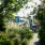 a path with plants and trees on the side