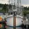 a group of boats sit in a harbor